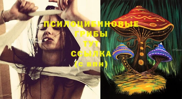 дурь Медвежьегорск