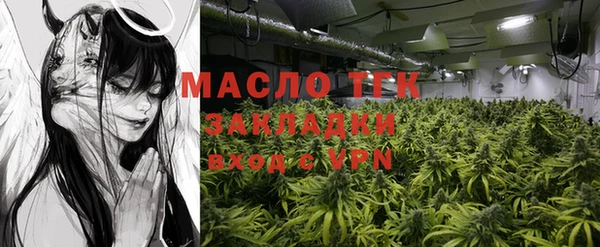 индика Шарыпово