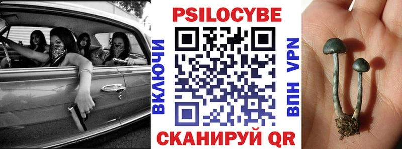 купить наркоту  Новая Усмань  Галлюциногенные грибы MAGIC MUSHROOMS 