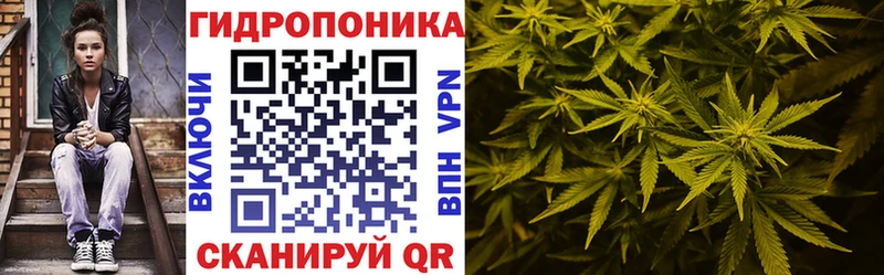 Бошки Шишки ГИДРОПОН наркотики Новая Усмань